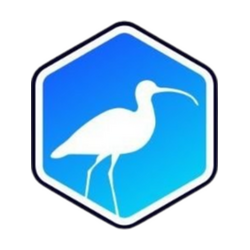 Curlews