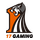 17 Gaming