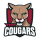 Top Cougars