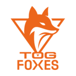 Team Orange Gaming