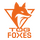 Team Orange Gaming