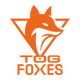 Team Orange Gaming
