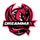 DreamMax Esports