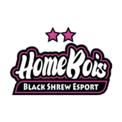 HomeBois BSE
