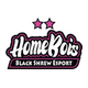 HomeBois BSE