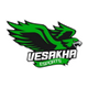 Vesakha Esports