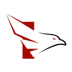 FALKE ESPORTS