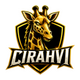 cirahvi