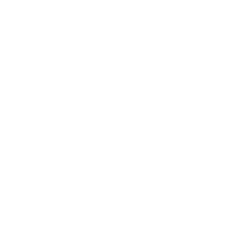 Team Spirit Academy White