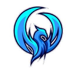 Night Wings Gaming