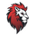 Leo Team
