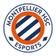 MHSC Esport