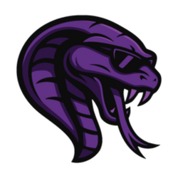 Team Cobra