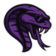 Team Cobra