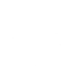 ex-Partizan