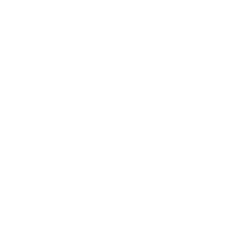 CYBERSHOKE Prospects