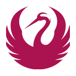 Kiri Magenta
