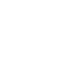 Spirit fe