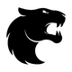 FURIA Esports
