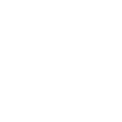 BRUTE