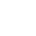 BRUTE
