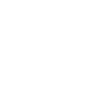 BRUTE
