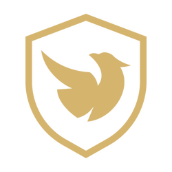 Reven Esports