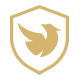Reven Esports