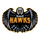 Hawks