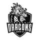 Black Dragons e-Sports
