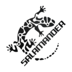 Salamander