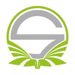 Team Singularity