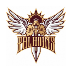 Paladins