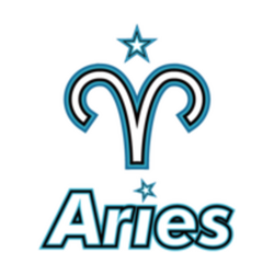Aster.Aries