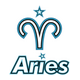 Aster.Aries