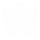 Asterisk Women