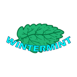 Wintermint