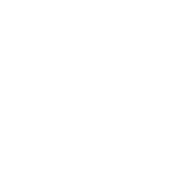 Vortex CGO