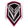 Team Virgo