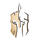 Dominus Esports