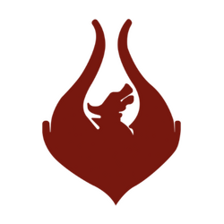 Team Phoenix