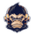 BWE Esports
