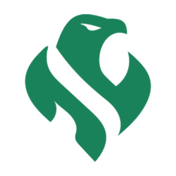 Riyadh Falcons
