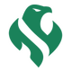 Riyadh Falcons