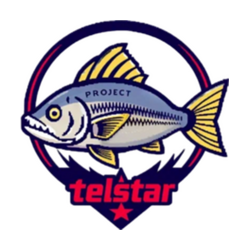 project telstar