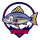 project telstar