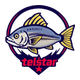 project telstar