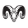 Wild Ram