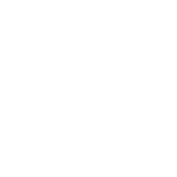 STEP