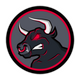 LRV Esports
